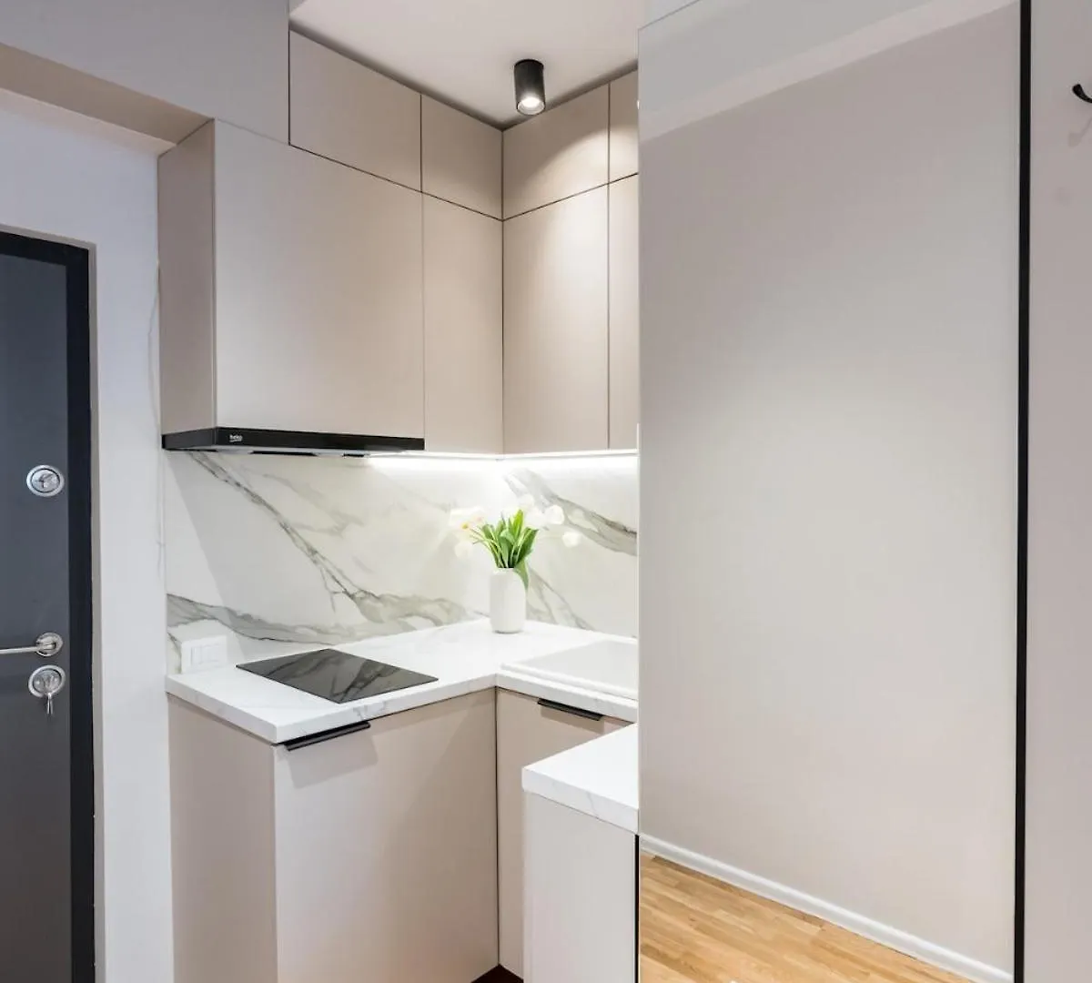Aesthetic Cosy - Central Alba Studio Bucureşti România